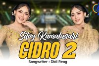 Silvy Kumalasari - Cidro 2